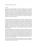 Ensayo sobre la legalización de las drogas