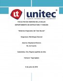 Defectos del Tubo Neural