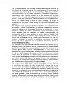 Comptencias Comunicativas