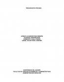 Presupuesto privado taller 3