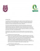 COMUNICACION - TRABAJO