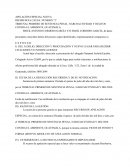 APELACIÓN ESPECIAL NUEVA