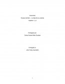 Ensayo La idea de la Justicia