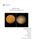 Informe práctico de laboratorio n°17