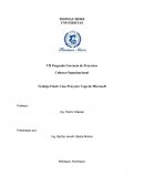 Trabajo Final: Caso Proyecto Vega de Microsoft