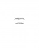 Normas generales de ortografía. Comunicación oral y escrita