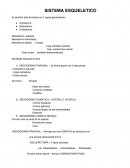 SISTEMA ESQUELETICO El embrión esta formado por 3 capas germinativas