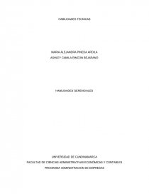 HABILIDADES TÉCNICAS GERENCIALES. Página 1