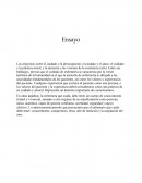 Ensayo el cuidado y el amor