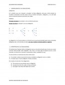 Bases del derecho civil II