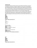 La politica ACTIVIDAD