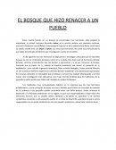 El bosque que hizo renacer un pueblo