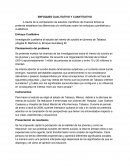 Metodología de la Investigación Científica