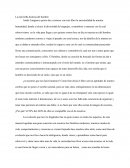 La más bella historia del hombre