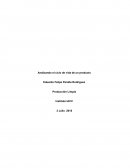 Analizando el ciclo de vida de un producto