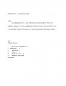 MEJORAMIENTO DEL CORE FISIOLÓGICO PARA LA REDUCCIÓN DEL RIESGO LUMBAR EN LOS SOLDADOS DEL EJÉRCITO NACIONAL MEDIANTE UN PAF APLICADO AL ENTRENAMIENTO Y REENTRENAMIENTO DE LAS TROPAS.