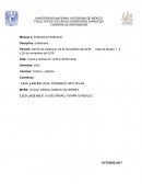 Módulo 2: Enfermería Profesional