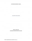 INSTITUCIONES FINANCIERAS Y BASILEA