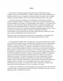 EL BOXER Y SUS CONCECUENCIAS