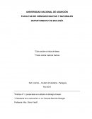 Ciclo Celular e Índice de Fases