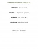 REPORTE DE RANCHO GANADERO Q,ROO