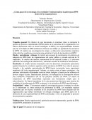 ¿Como pasar de la estrategia a los resultados?'
