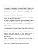 Diagnóstico de enfermería del paciente.