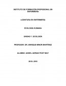 LICENTURA EN ENFERMERÍA ECOLOGÍA HUMANA