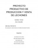 Proyecto productivo de yohurt de cabra
