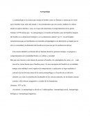 Antropología. APUNTES