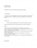 BODEGAS TORRES ANALISIS DE LAS AREAS DE NEGOCIOS DE BODEGAS TORRES