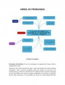 Arbol de problemas