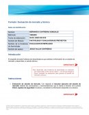 Formato: Evaluación de mercado y técnico