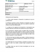 Preguntas detonantes de Starbucks y su batalla con la roya