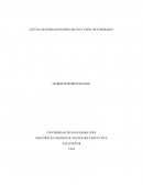 Investigacion a nivel de maestria