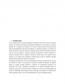 DOCUMENTO PRELIMINAR DRON