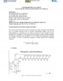 Procesamiento de imagen matlab