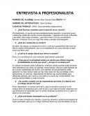 Profesionalista de animacion