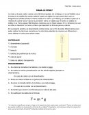 Practica masa o peso