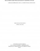 Liderezgo empresarial para la competitividad e innovación