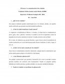 II Ensayo: La contaminación de las ciudades