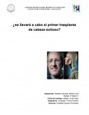 Trasplante de cabeza