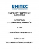 ¿Por qué es importante la tolerancia y que se puede hacer contra la discriminacion?