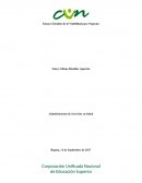 Ensayo Estudios de la Viabilidad para Negocios