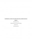 Estructura organizacional de prevencion de riesgos