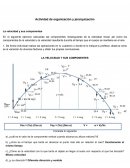Física 1, Actividad de organización y jerarquización