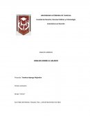 ENSAYO JURÍDICO ANALISIS SOBRE EL SALARIO