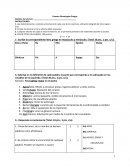 Examen Etimologias Griegas