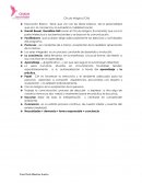 Círculo Mágico (CM)