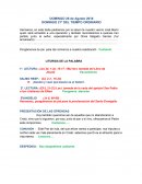 DOMINGO 21º DEL TIEMPO ORDINARIO